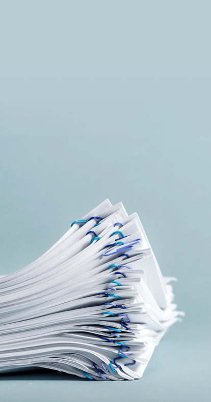 section_bg