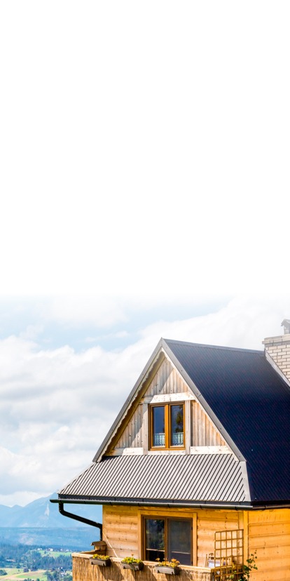 section_bg