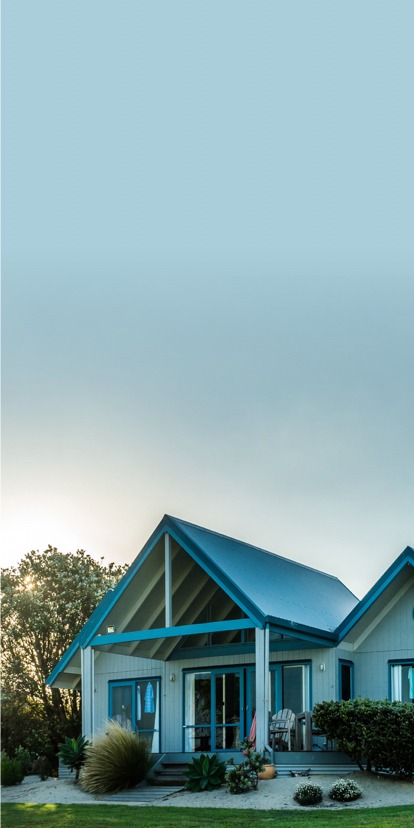 section_bg